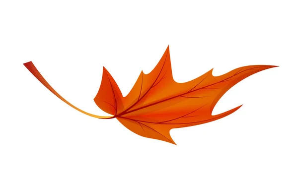 Autumn Golden Yellow Leaf Vector Illustration Icon — Stock Vector