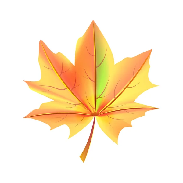 Hoja Naranja y Verde Color Otoño Caído Objeto — Vector de stock