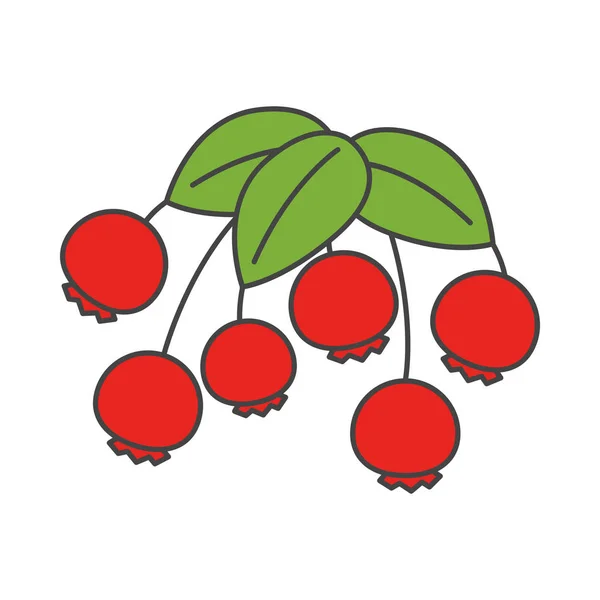 Desenhos animados Wild Berries com folhas ilustração — Vetor de Stock