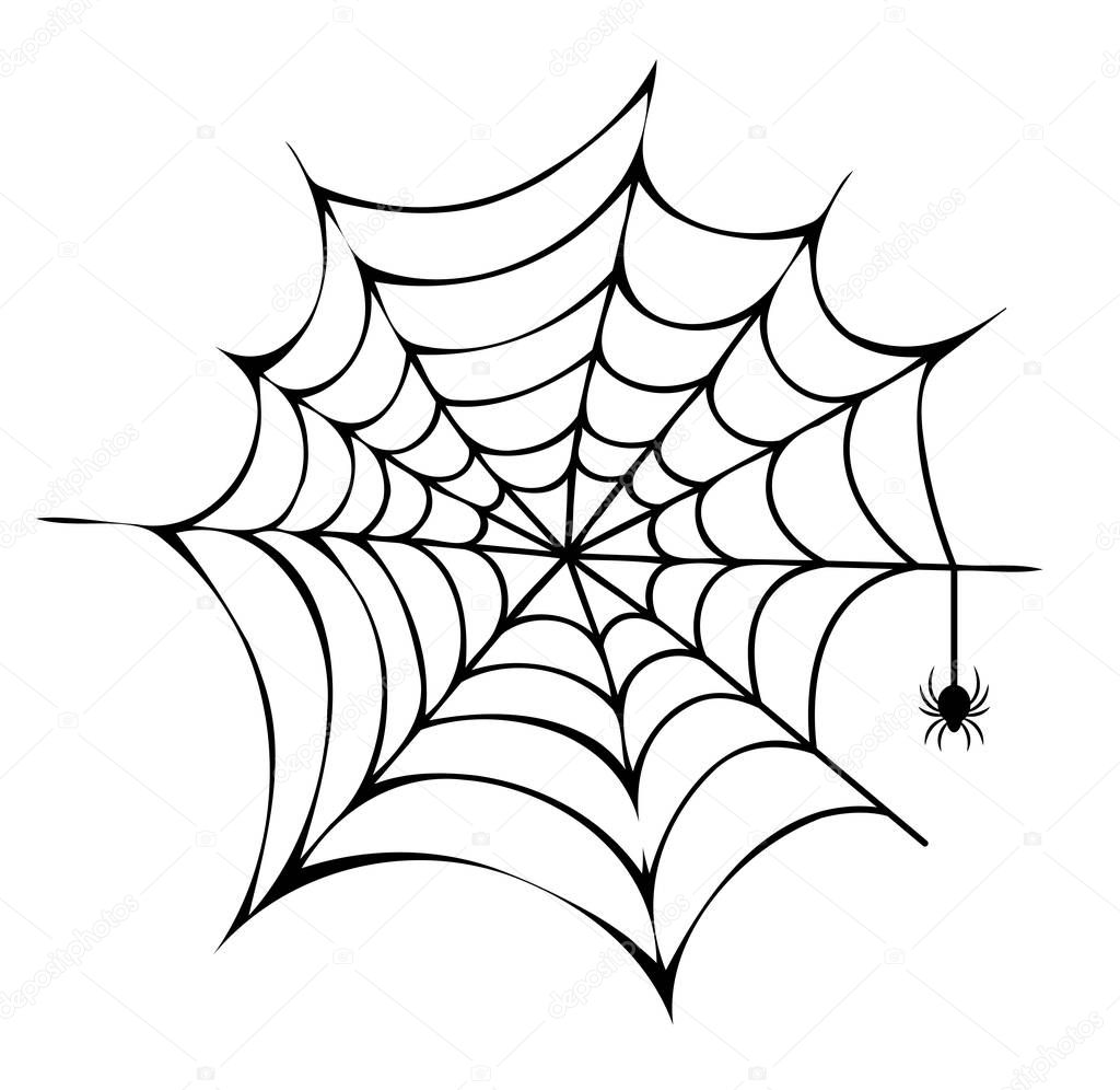 Spider Building His Net Icon Vector Illustration