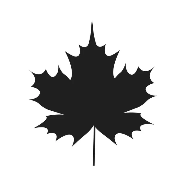 Осенний лист черный силуэт Изолированная белая икона — стоковый вектор