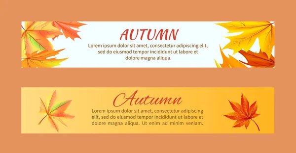 Herbst Banner mit Ahornblattvektor — Stockvektor