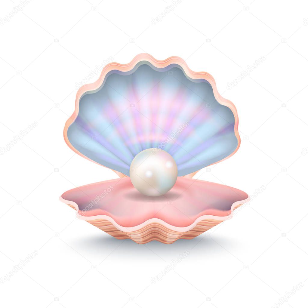 Closeup of Pearl and Shell Vector Illustration