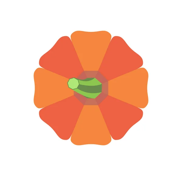 Citrouille d'Halloween avec icône de légumes à tige verte — Image vectorielle
