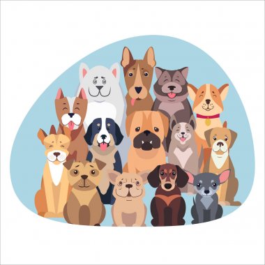 Oturma ve düz görünümlü safkan köpekler kavramı