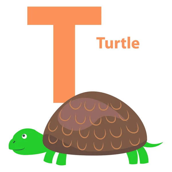 Alphabet-Illustration für Buchstabe t mit Schildkröte — Stockvektor