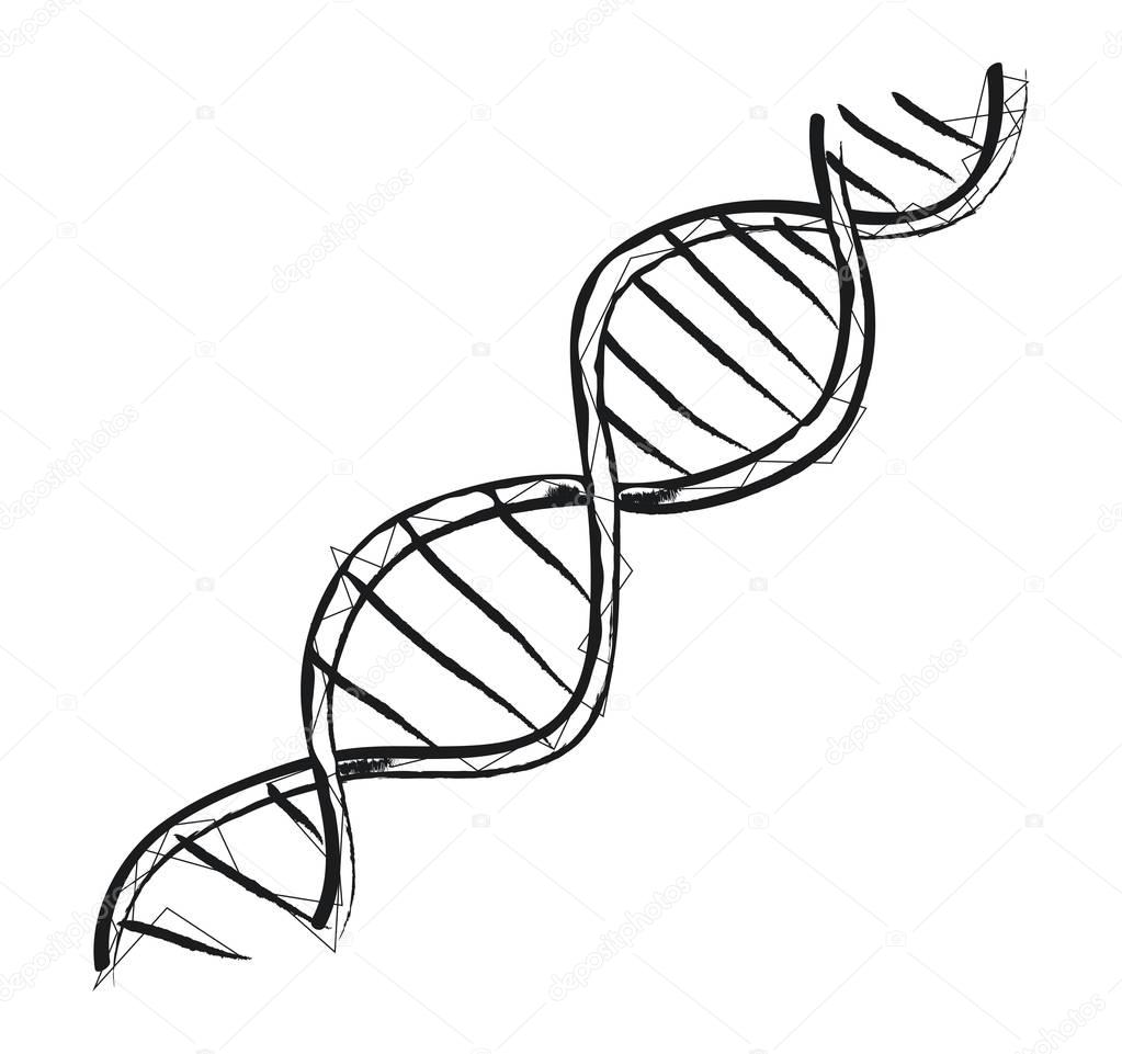 DNA Code Structure Icon Vector Illustration