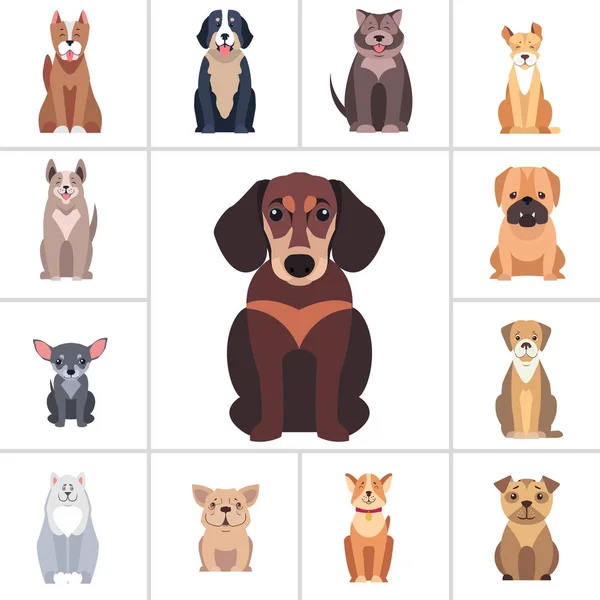 Dachshund and Other Dog Breeds Illustrations Set — Stock Vector
