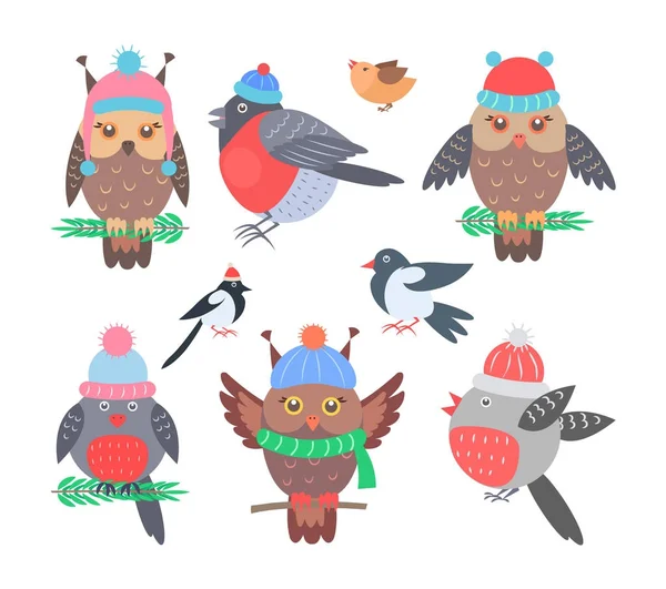 Samling av fåglar ikoner vektorillustration — Stock vektor
