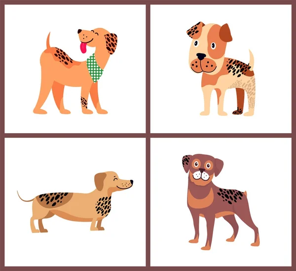 Stamboom honden met ongebruikelijke vacht kleur en vlekken — Stockvector