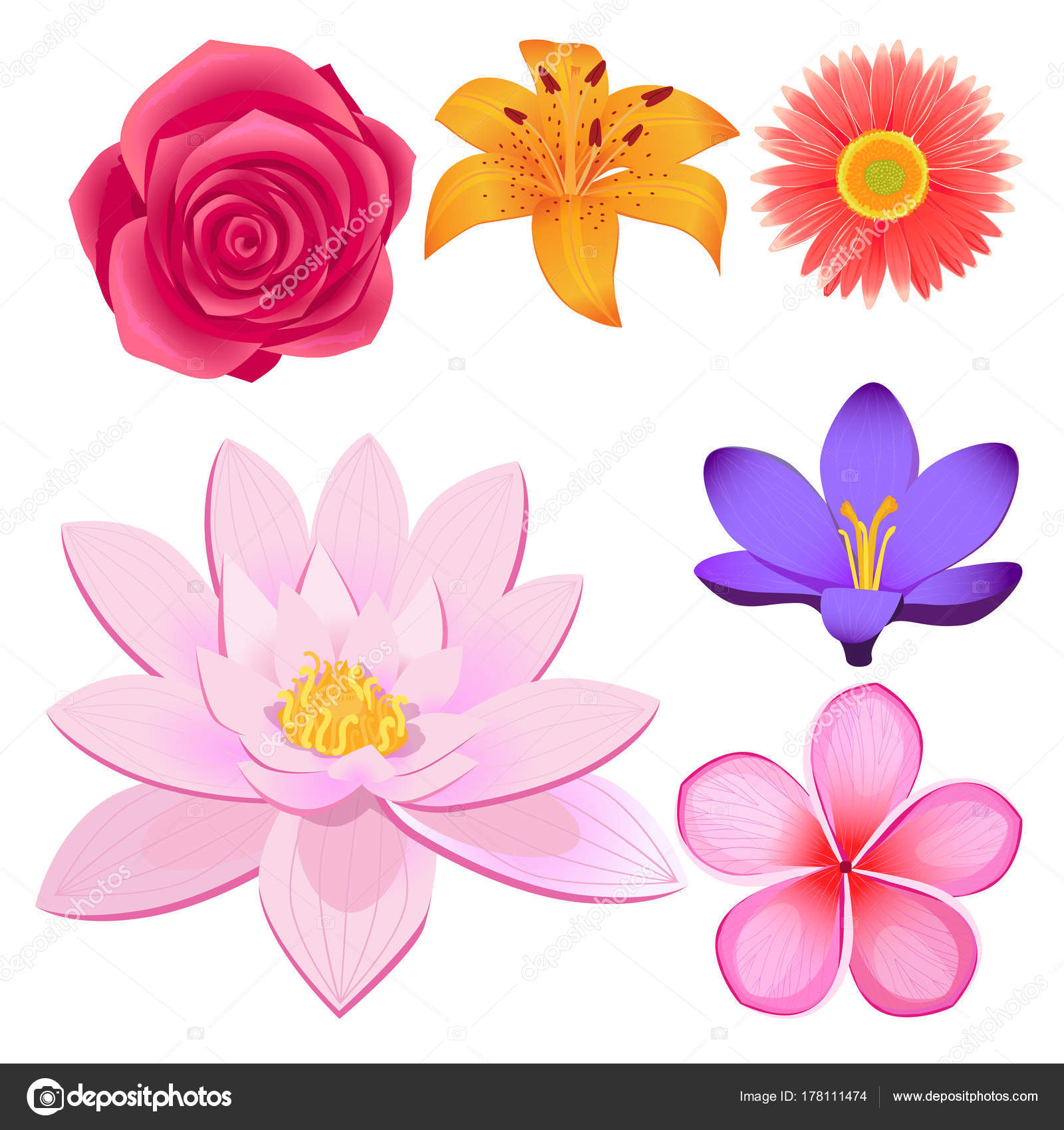 すべての美しい花の画像 Hd限定花 つぼみ イラスト