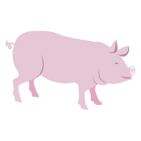 Illustration vectorielle de cochon rose isolé sur blanc — Image vectorielle