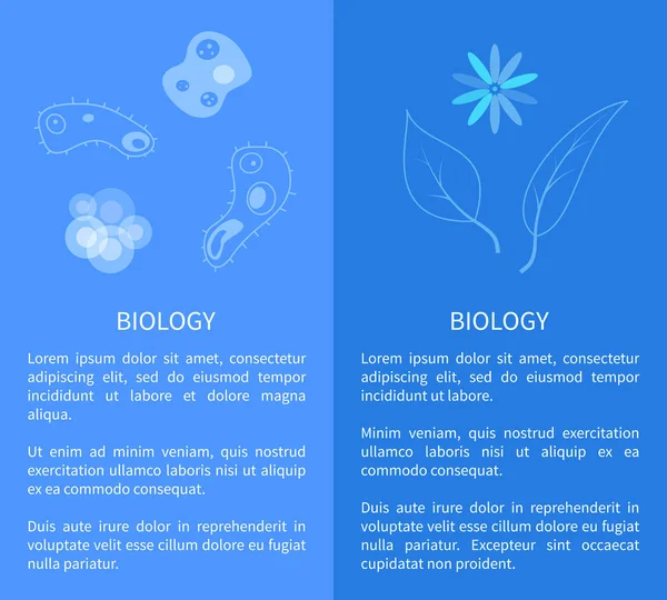 Poster di Biologia con Organismi Micro Cellulari, Pianta — Vettoriale Stock