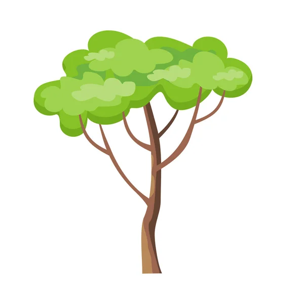 Árbol con hojas verdes. — Vector de stock