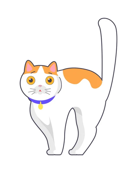 Lindo gato con ojos grandes cuello azul en el cuello Vector — Vector de stock