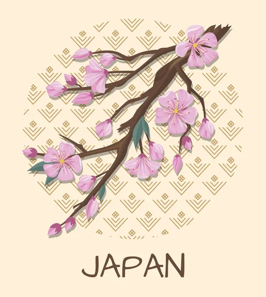 Japan Promo Poster with Sakura Branch and Pattern — Stock Vector