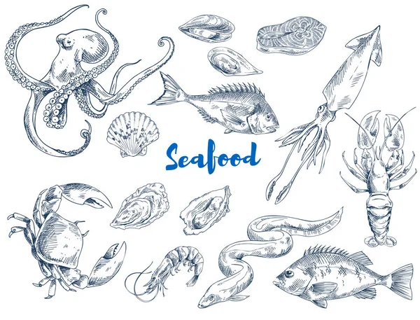 Exotic Seafood Monochrome Sketch Illustrations Set — Stock Vector