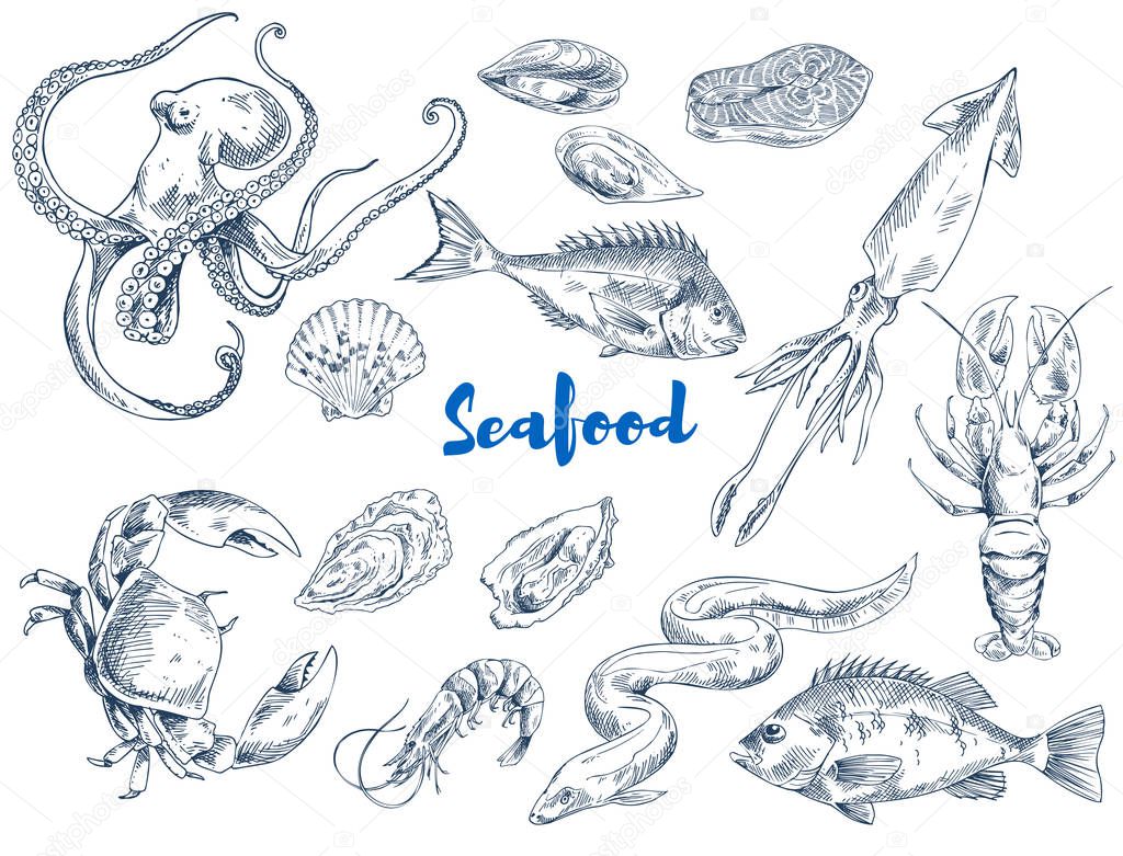 Exotic Seafood Monochrome Sketch Illustrations Set
