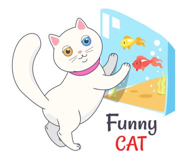 Komik beyaz kedi akvaryum balık vektör ile seyir