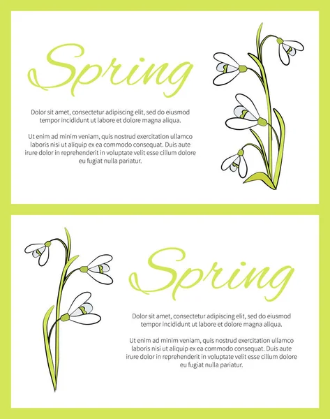 Conjunto de carteles de primavera verde en la ilustración vectorial — Vector de stock