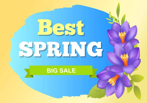 Mejor primavera gran venta publicidad etiqueta Crocus — Vector de stock