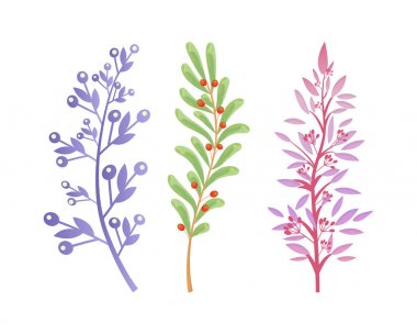 Orman ağaç ve çalı çilek ile dalları