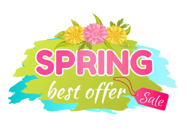 Mejor oferta Venta de primavera Anuncio Daisy Flowers — Vector de stock