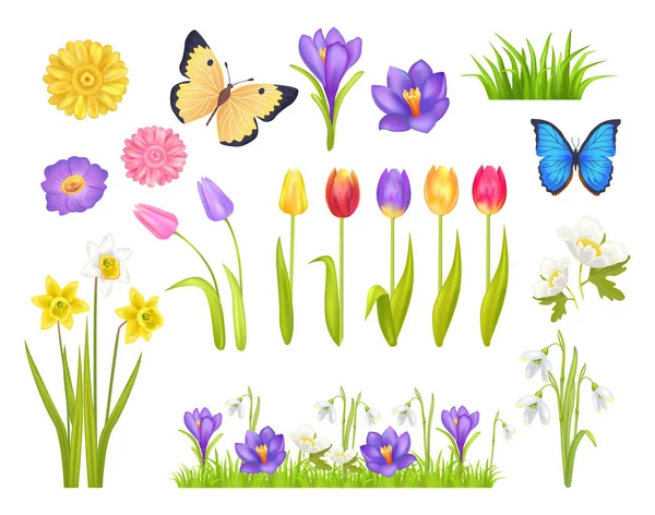 花と蝶ベクトル図を設定 — ストックベクタ