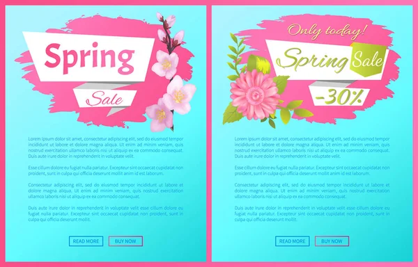 Frühjahrsverkauf Werbung Etiketten Zweig von Sakura — Stockvektor
