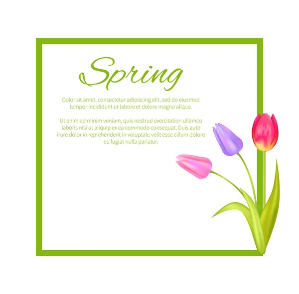 Frühlingsposter mit Text im Rahmen bunter Strauß — Stockvektor