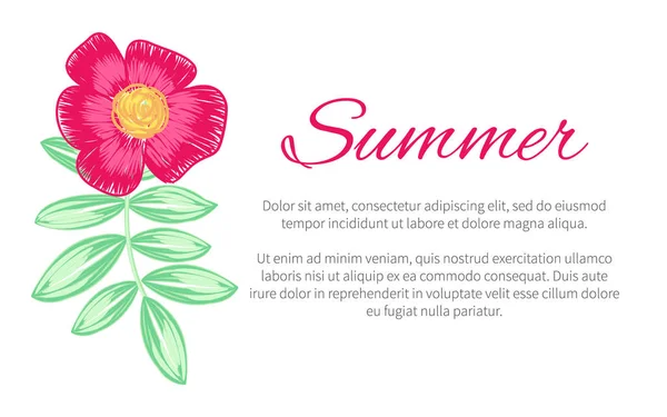 Sommer Thema bunte Poster Vektor Illustration — Stockvektor