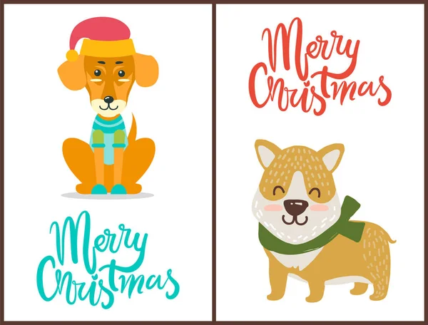 Merry Christmas Banner felicitatie van huisdieren — Stockvector