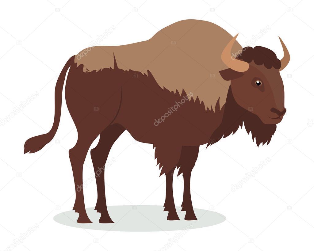 American Bison Cartoon Icon in Flat Design