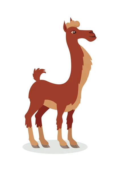 Llama Cartoon Icon in Flat Design — Stock Vector