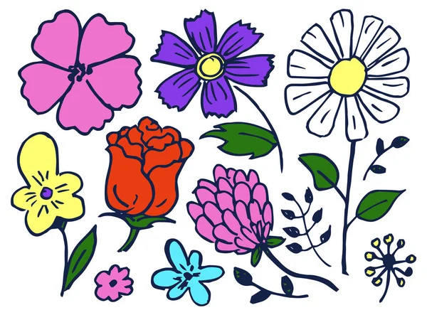Flores mão desenhado elemento conjunto vetor ilustração —  Vetores de Stock