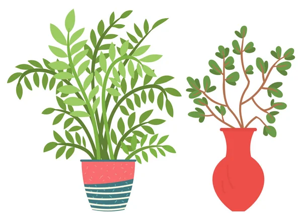 Planta de Casa en Floreros, Flores con Florecimiento — Vector de stock