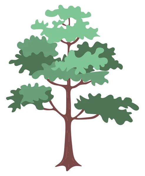 Árvore de carvalho verde com ramos arbustos e tronco marrom — Vetor de Stock