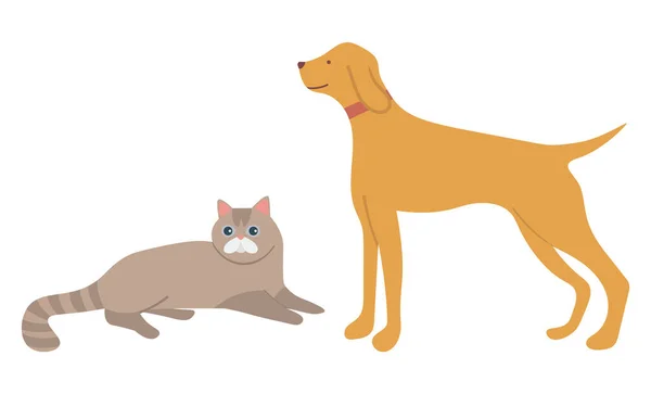 Animals Cat and Dog, Domestic Pet, Mammal Vector — Stock Vector