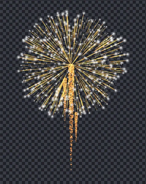 Feu d'artifice éclat explosif éclat décoratif lumineux — Image vectorielle