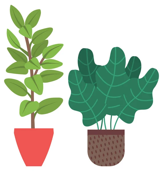 Planta de Casa en Floreros, Flores con Florecimiento — Vector de stock