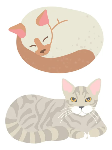 Tabby Cat, Sleeping Domestic Cat, Home Vector — стоковый вектор