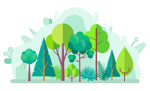 Grön skog med träd, buskar och björkar — Stock vektor