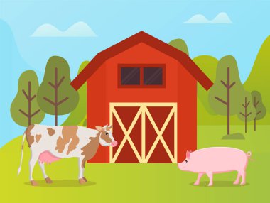 Hayvan Hayvanı İnek ve Domuz Depo Yakınları