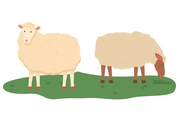Sheep on Pasture, Animals Livestock Farming Vector — Stock Vector