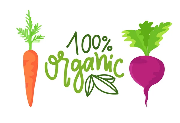 Вектор органических продуктов питания, моркови и свеклы — стоковый вектор