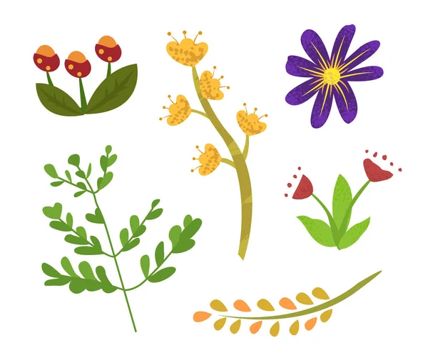 春季或夏季植物元素、叶形植物 — 图库矢量图片