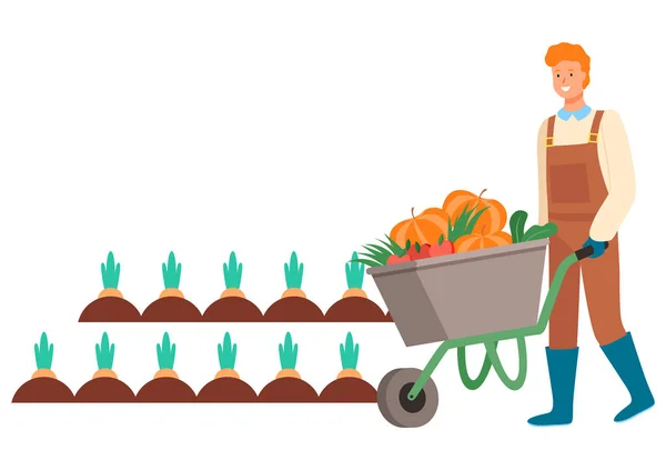 Agricultura del hombre en el campo, plantación de zanahorias Vector — Vector de stock