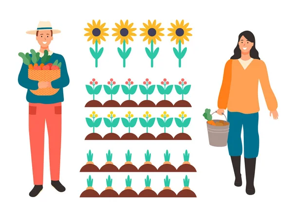 Žena a muž pracující na poli, slunečnice rostliny — Stockový vektor