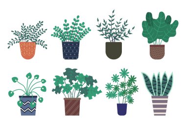 Saksıda Çiçek Türleri, Kaplarda Bitkiler