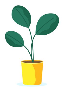 Ot Hediyesine Bitki, Doğal Vektör Verme